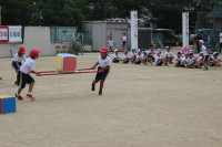 IMG_1795