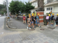 IMG_8549
