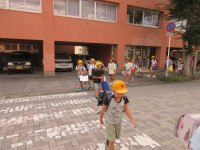 IMG_8951