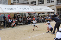 IMG_1936