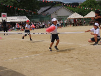 s-IMG_6074