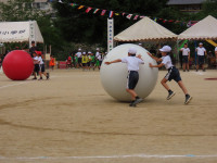 s-IMG_6099