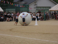 s-IMG_6095