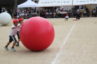 IMG_2065